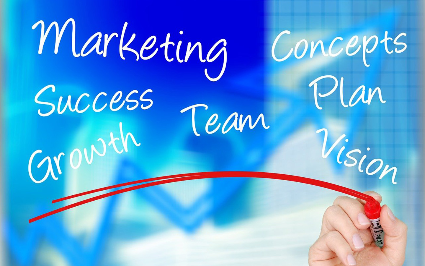 Terminology Professional Management and Marketing Language